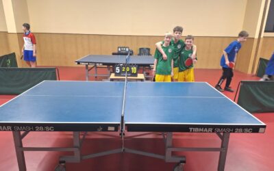 Županijska završnica u stolnom tenisu za učenice i učenike osnovnih škola