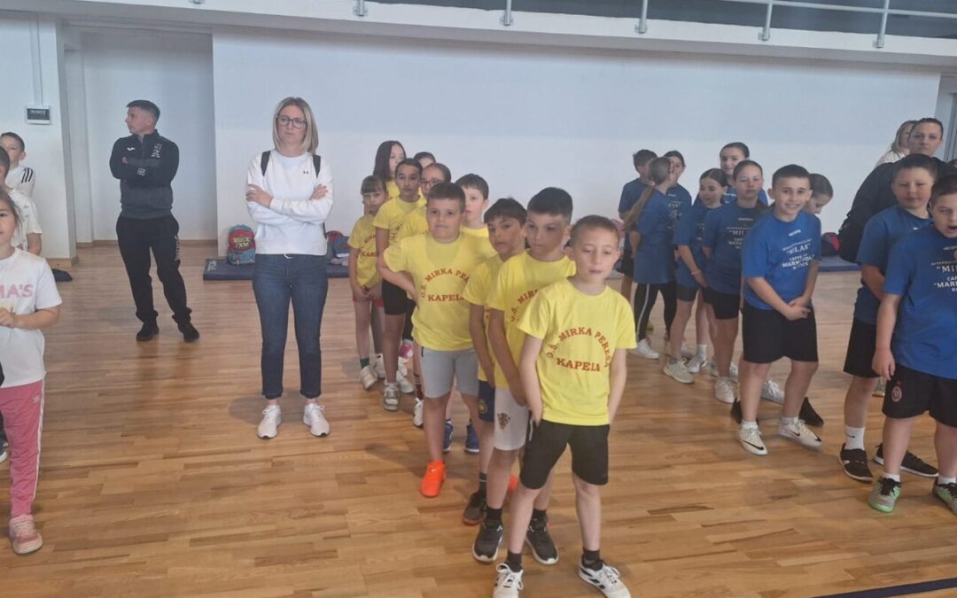 Županijska završnica u graničaru za učenike osnovnih škola